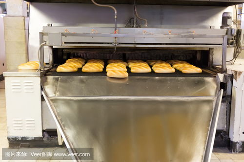 在工厂生产面包production of bread in factory photo